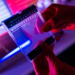 covid-19-genetic-risk