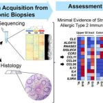 genetics-of-eosinophil
