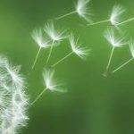 images (18)