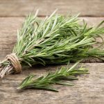 shutterstock_567889069