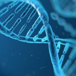 struttura-del-dna-1280x720