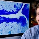 study-identifies-how-e