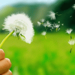 allergie-1272x720-874x456