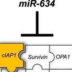 anti-cancer-dream-crea