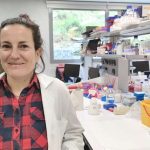 blood-vessels-regulate