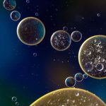 cell (2)
