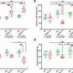 could-there-be-a-link