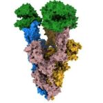 cryoem-unlocks-underst