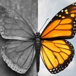 disturbo-bipolare-bipolarismo (1)