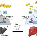 drug-treatment-moves-c