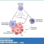 herbal-compound-preven