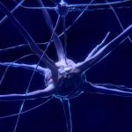 neuron (3)