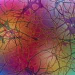 new-research-suggests-8