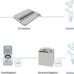 new-screening-tool-ids-2