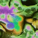 scientists-discover-th-3