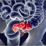 shutterstock_639747862