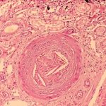 1230557790_975fef085a_c-675x540