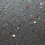 RaceforWater_PeterCharaf_MicroplasticsAzores_2