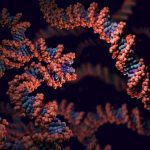 an-immune-fingerprint