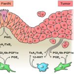 biologists-discover-si