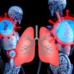 lung-2 (1)