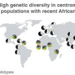 now-fully-complete-hum (1)