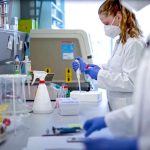 researchers-describe-p