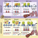 scientists-discover-ge-1