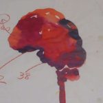 scientists-identify-no