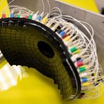 tumors-partially-destr