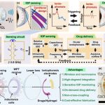 a-contact-lens-that-mo