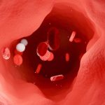 haywire-t-cells-attack