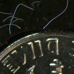 062322_eg_giant-bacteria_feat-1030x580