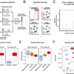 ai-identifies-cancer-c