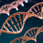 dna-spirale