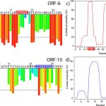 exploring-the-cause-of