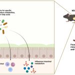 fecal-transplant-throw
