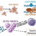 gene-variation-may-be