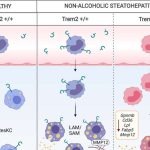 new-blood-biomarker-id
