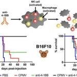 plant-virus-plus-immun