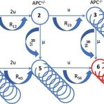researchers-find-that-1