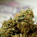 cannabinoid