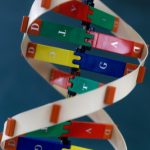 d41586-022-01951-1_23271450