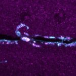 new-research-could-exp