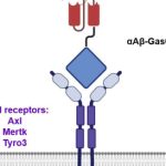a-new-therapeutic-drug