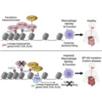 new-insights-into-the-9