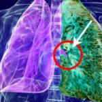 5b630c37-787c-473c-aafc-22ec25bbab96 (1)