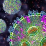 d42473-022-00134-w_23399146