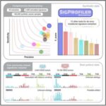 mutational-signature-l