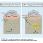 researchers-identify-p-4